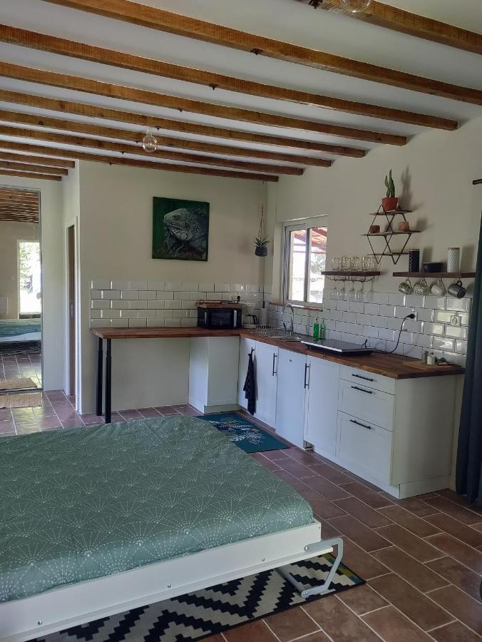 Chez Chapelle In The Heart Of The Gascony With Pool And Hot Tub Lejlighed Auch Eksteriør billede